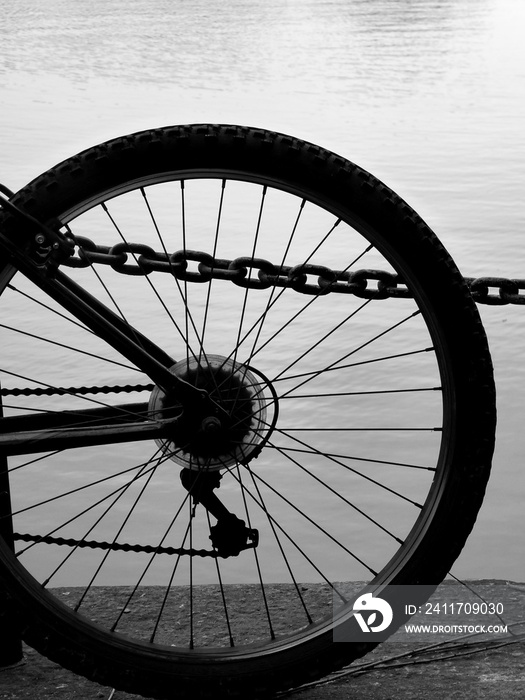 bicycle wheel by the water