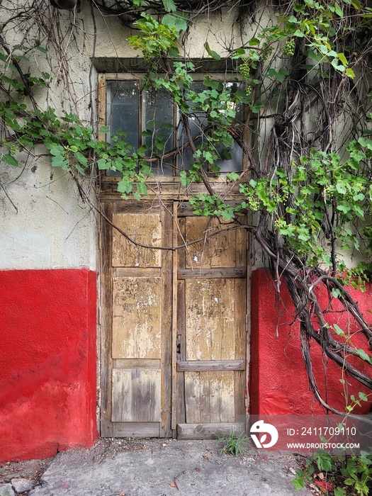 Door with grape leaves in old abandoned building with red wall. Grunge design painting for flat interior. Rustic abandoned background with lock door.