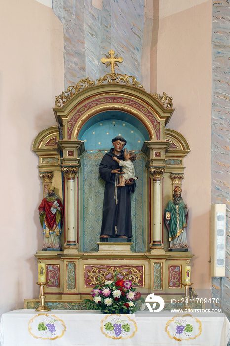 Altar of St. Anthony of Padua in the parish church of the Assumption of the Virgin Mary in Pescenica, Croatia