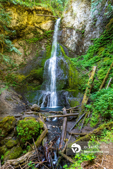 Merrymere Falls Trail in Olympic National Park