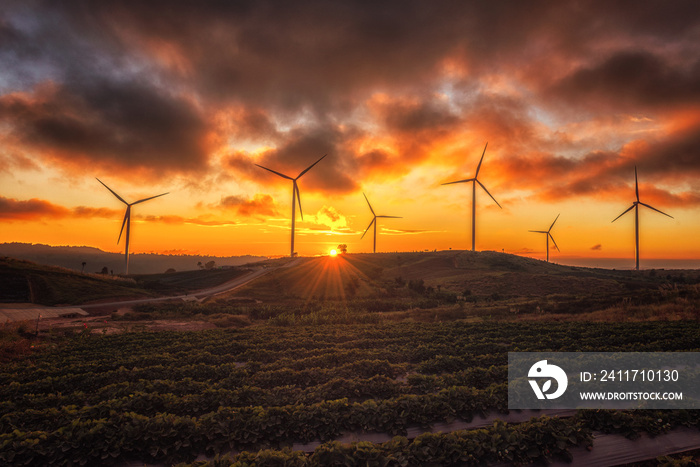 Sun sets in the fields of wind turbines.