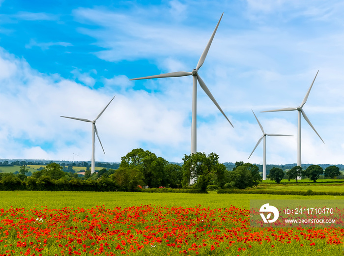 A view across poppies in a field towards wind turbines in the distance near Naseby, UK