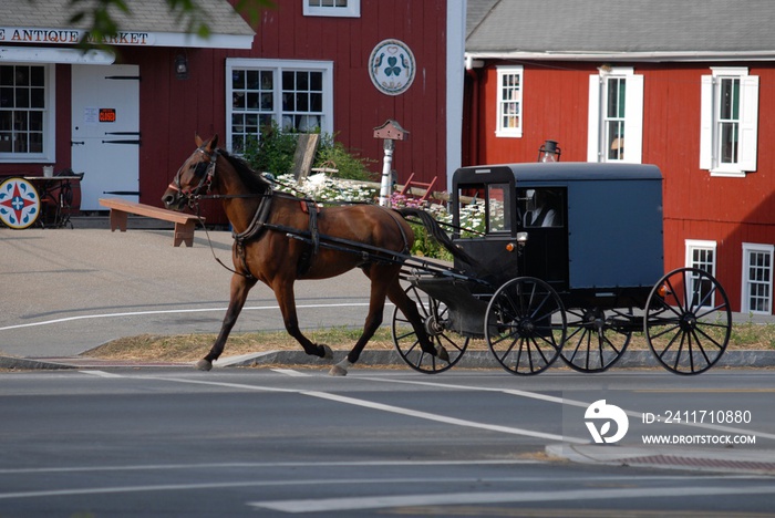 Amish Horse and Buggy on a Sunny Summer Day