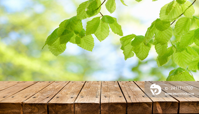 Empty old wooden table with fresh green spring leaves in background