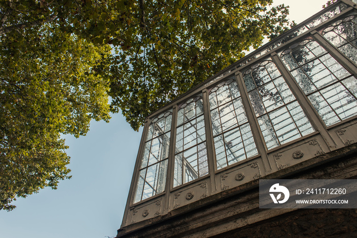 Low angle view of tree near building with high windows on street in Istanbul, Turkey