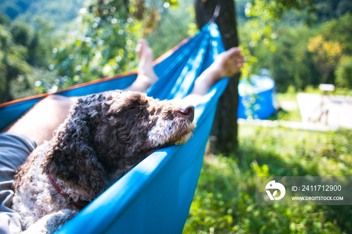 man and dog relaxing in hammock