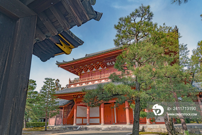 大徳寺 粉雪の中の山門（金毛閣）