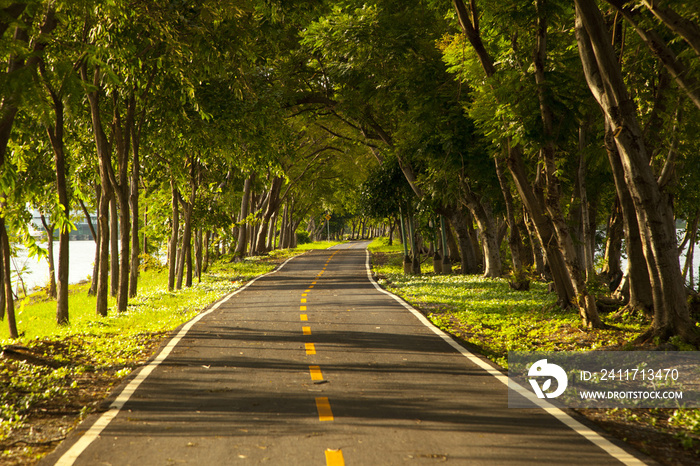 road with trees on both sides vanishing around a bend