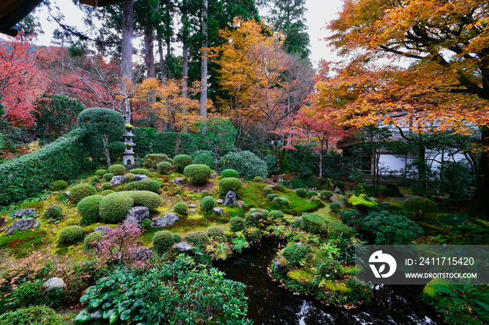 【京都】三千院の紅葉（秋）