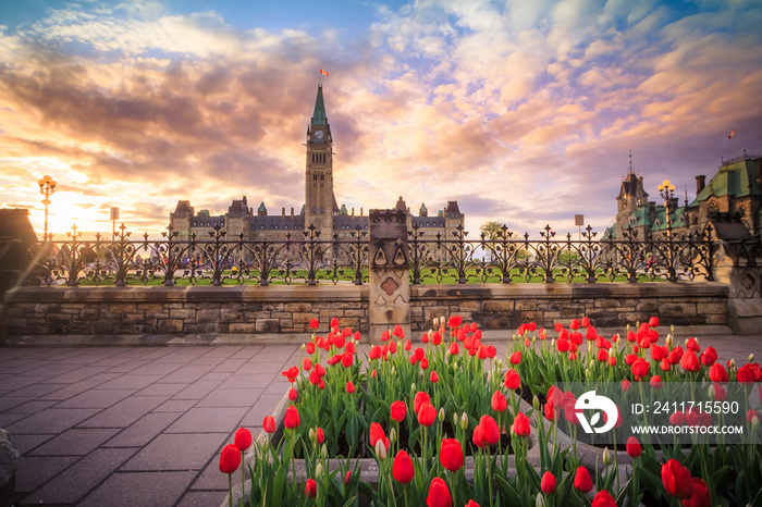 View of Canada Parliament building in Ottawa during tulip festival