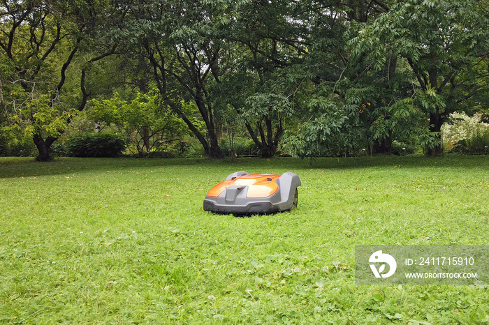 Robotic lawn mower mowing grass in garden. Close up gardening with copy space.