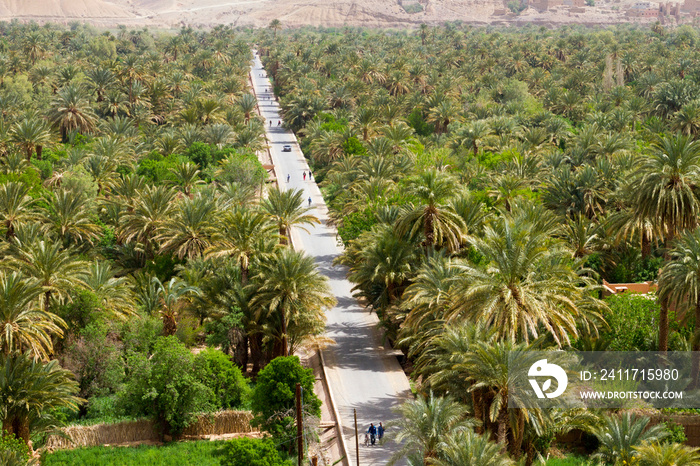 Valle del fiume Draa, Marocco