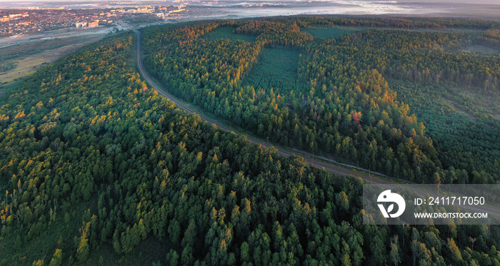 The railway runs through the forest. Empty tracks at sunset or dawn.