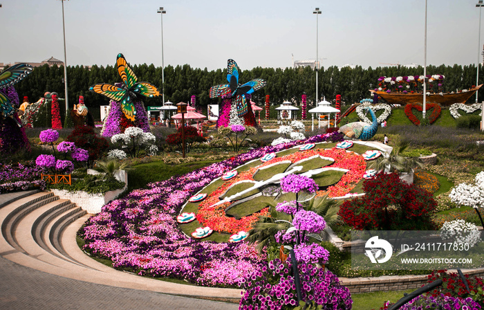 Miracle Garden in Dubai, UAE