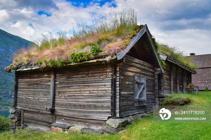 Old wooden barn with grass on roof, Norway