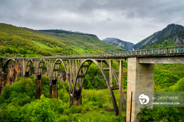 Montenegro, World famous old durdevica tara bridge building allowing traffic to drive over worlds second largest canyon, the tara canyon in green nature scenery