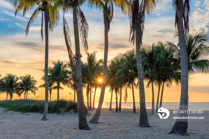 Sunrise at tropical beach with coco palms by the ocean beach in Florida Keys