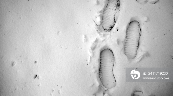 Footprints in the snow. Footprints on the first snow. Imprint an