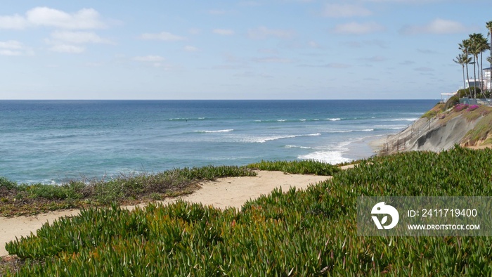 Seascape vista point, viewpoint in Carlsbad, California coast USA. Frome above panoramic ocean tide, blue sea waves, steep eroded cliff. Coastline shoreline overlook. Green ice plant succulent lawn.