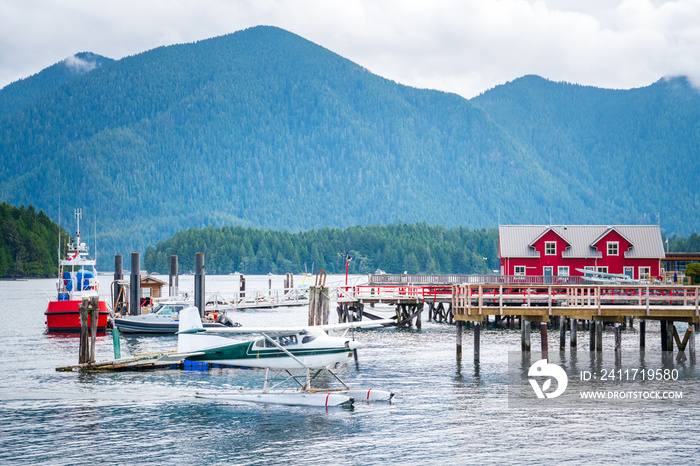 Clayoquot Sound wilderness landscape, Tofino, British Columbia, Canada