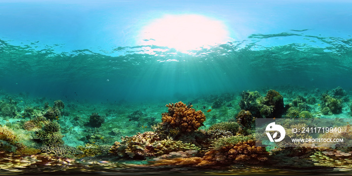 Tropical coral reef seascape with fishes, hard and soft corals. 360 panorama VR