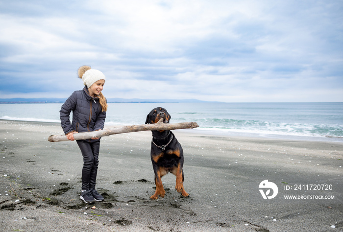 Girl playing with rottweiler dog in cold weather on the beach