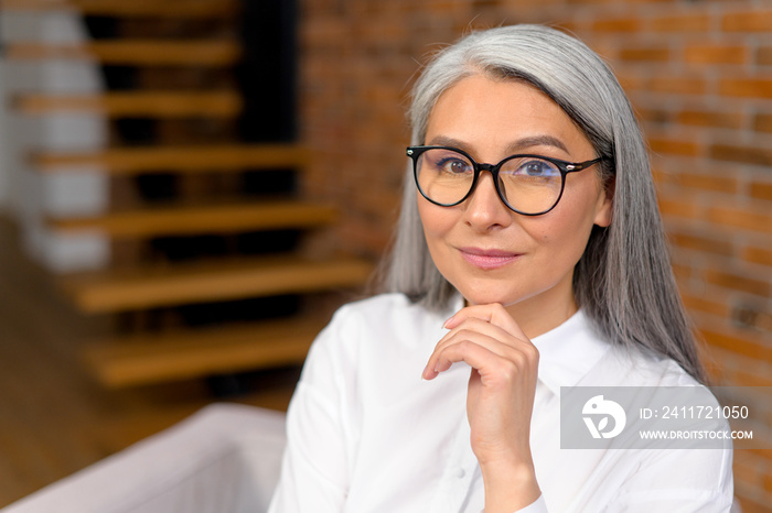 Portrait of a charming elegant mature middle-aged woman, resting chin on a hand, smiling and looks at the camera. Senior gray-haired lady sitting in the modern apartment and relaxing