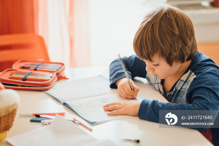 7 year old boy learning at home