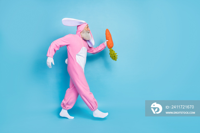 Full length photo of funky excited retired man wear pink hare pajama walking empty space holding carrot isolated blue color background