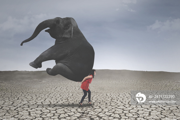 Female entrepreneur with elephant on dry soil