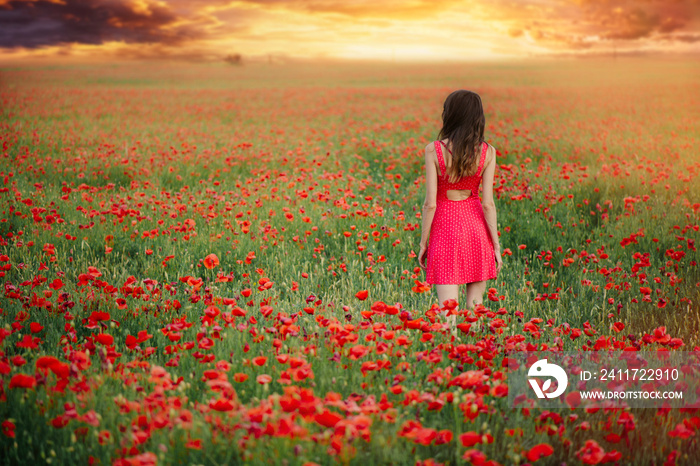 beautiful woman in a red dress in a poppy field at sunset from the back, warm toning, happiness and a healthy lifestyle