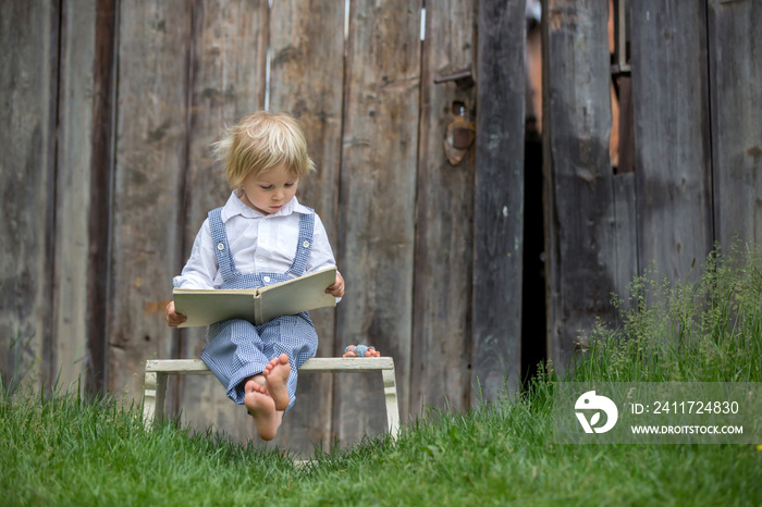 Blond toddler boy, reading book in garden in front of old wooden door