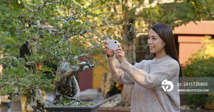 Woman take photo on cellphone in chinese garden