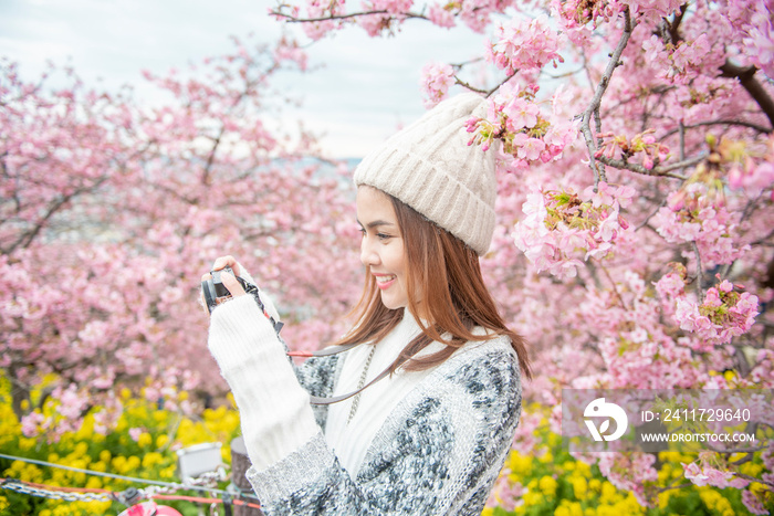 Attractive woman is enjoying  with  Cherry Blossom in Matsuda , Japan