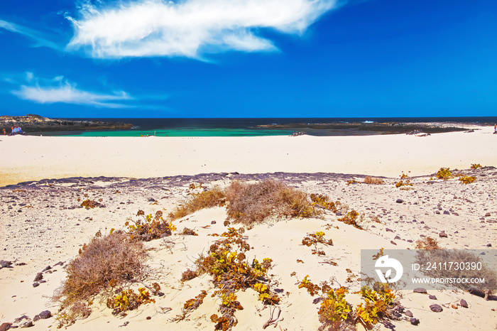 Beautiful lonely deserted tropical dream lagoon, fine bright white sand dune beach, turquoise sea horizon, clear blue summer sky -  El Cotillo, La Concha, Fuerteventura