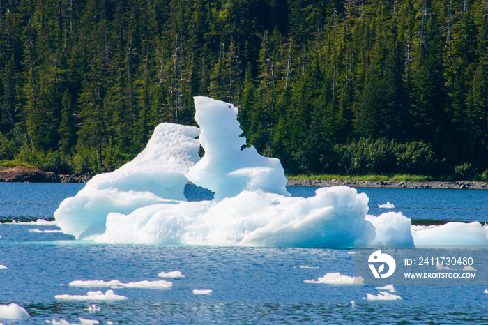 Ice Bergs in the Valdez, Alaska, Channel