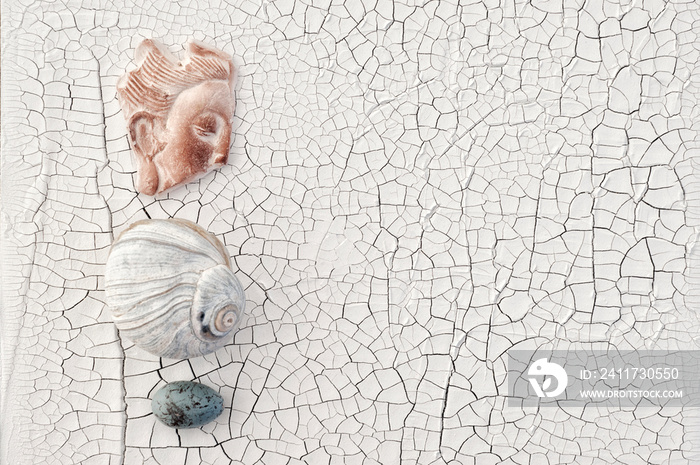 Fragment of a woman on white cracked surface with seashell and bird egg. Venus abstract metaphor.