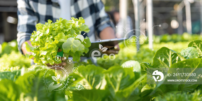 Young Asian farmer farmer record data in his farm, trying to collect and inspect the vegetables