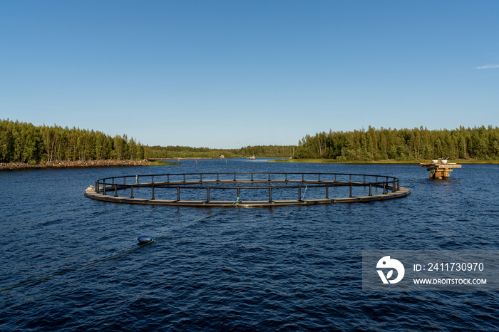 close up of a fish tank of a salmon farm in the Bothnian Bay of Finland in the northern Baltic Sea