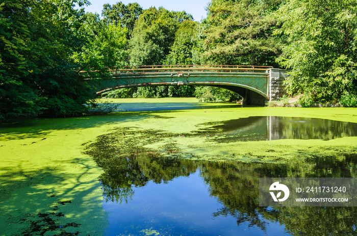 Picturesque bridge in Prospect Park, Brooklyn, New York, USA