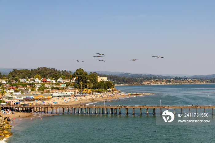 A flock of pelicans fly over the beach at Capitola.