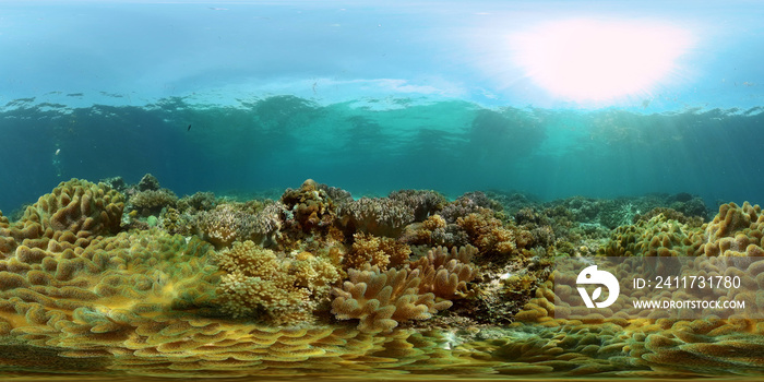 Coral reef underwater with fishes and marine life. Coral reef and tropical fish. Philippines. Virtual Reality 360.