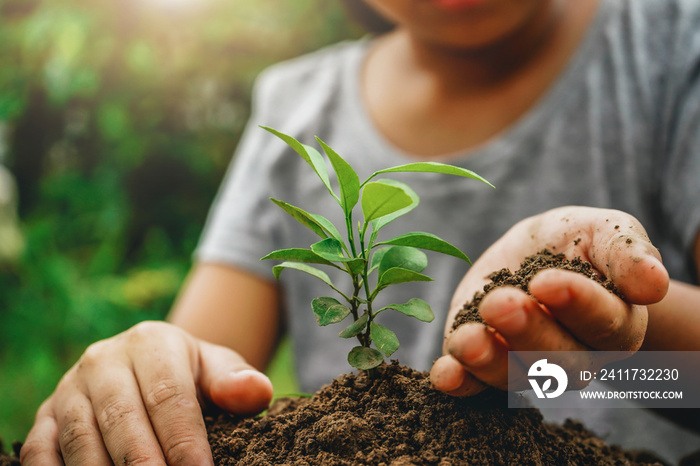 children smile to plant trees to proteot environment