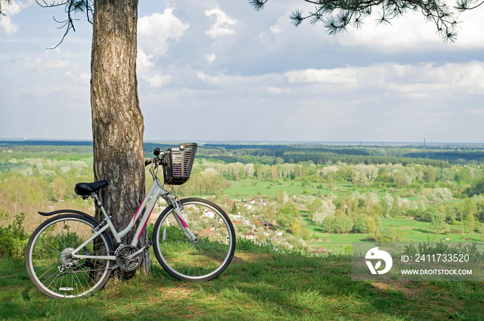 a white bicycle in the forest leaning against a pine trunk