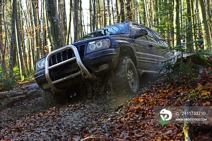 Motor racing in autumn forest. Offroad race on fall nature background. Sport utility vehicle or SUV overcomes obstacles. Rallying, competition and four wheel drive concept.