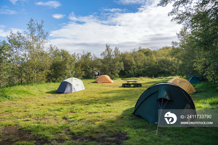 Group of hiker tents camping on lawn of campground in the forest on summer at national park