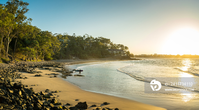 Surfer Beach Sunset. Surfer returning to shore at famous Little Cove beach, Noosa, Australia. Bright sand, rock pebbles and eucalyptus forest on the shore. Sun shines warm yellow.