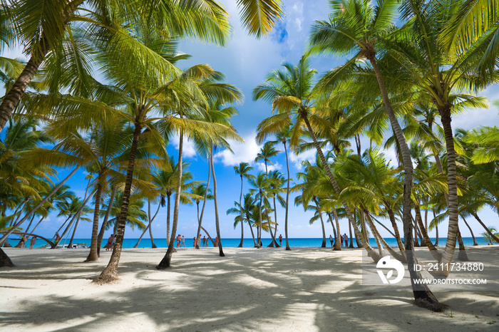 Tropical beach in Caribbean sea, Saona island, Dominican Republic