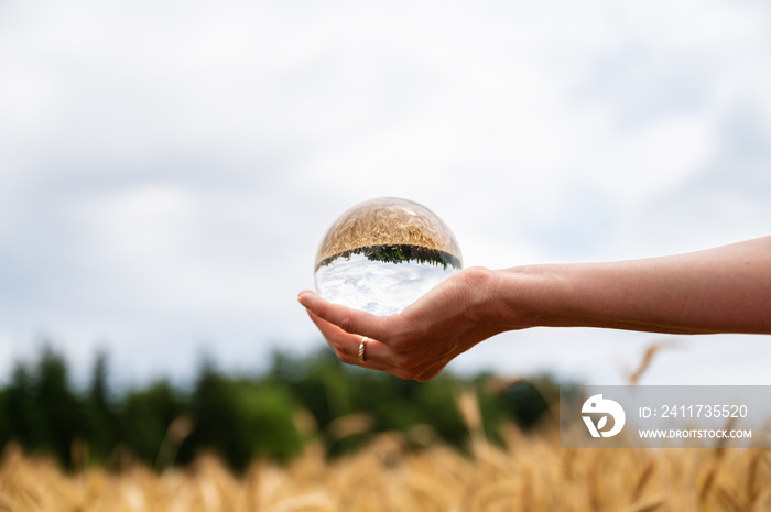 Female hand holding crystal sphere over a golden wheat field