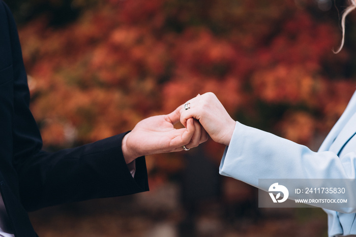 hands of the groom